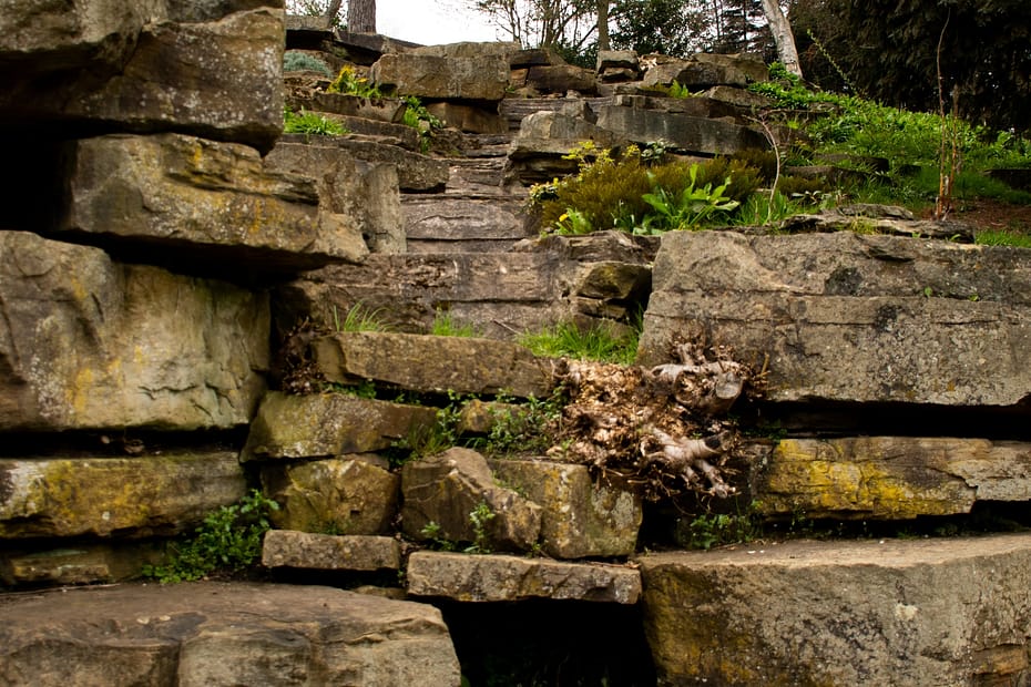 SecretGarden_102