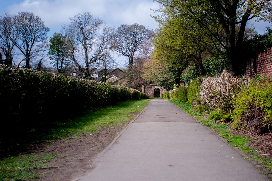 SecretGarden_52